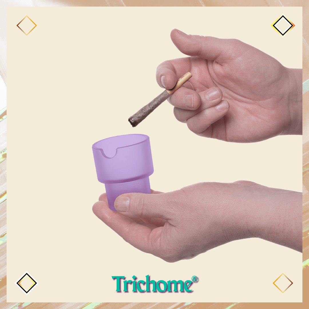 Flower Pots Ashtray Set - Trichome Seattle - NWTN Home - Glass
