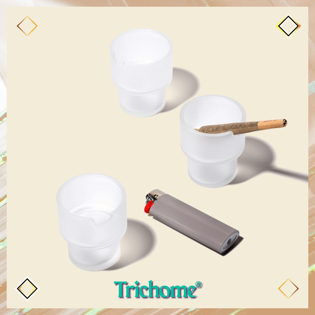 Flower Pots Ashtray Set - Trichome Seattle - NWTN Home - Glass