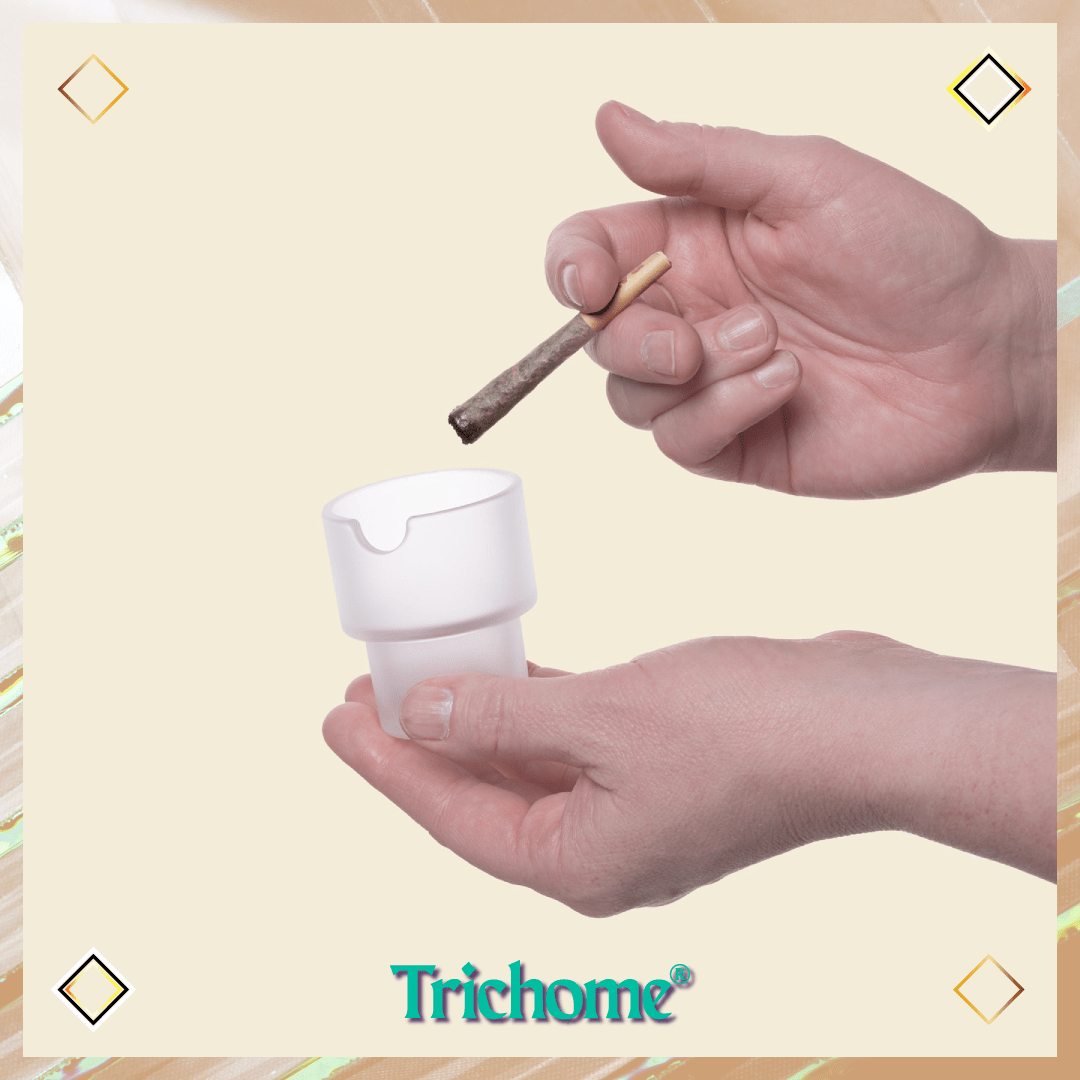 Flower Pots Ashtray Set - Trichome Seattle - NWTN Home - Glass