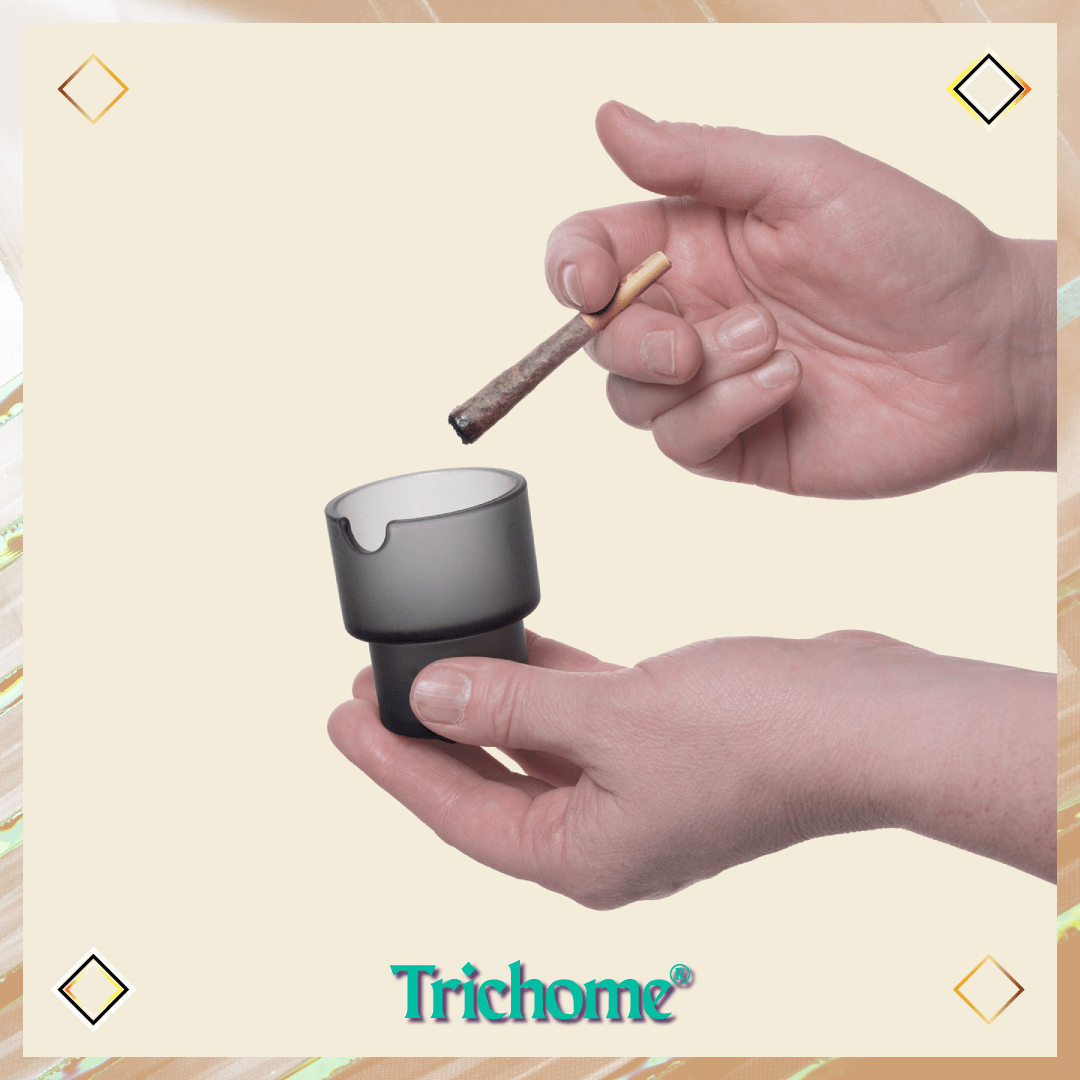 Flower Pots Ashtray Set - Trichome Seattle - NWTN Home - Glass