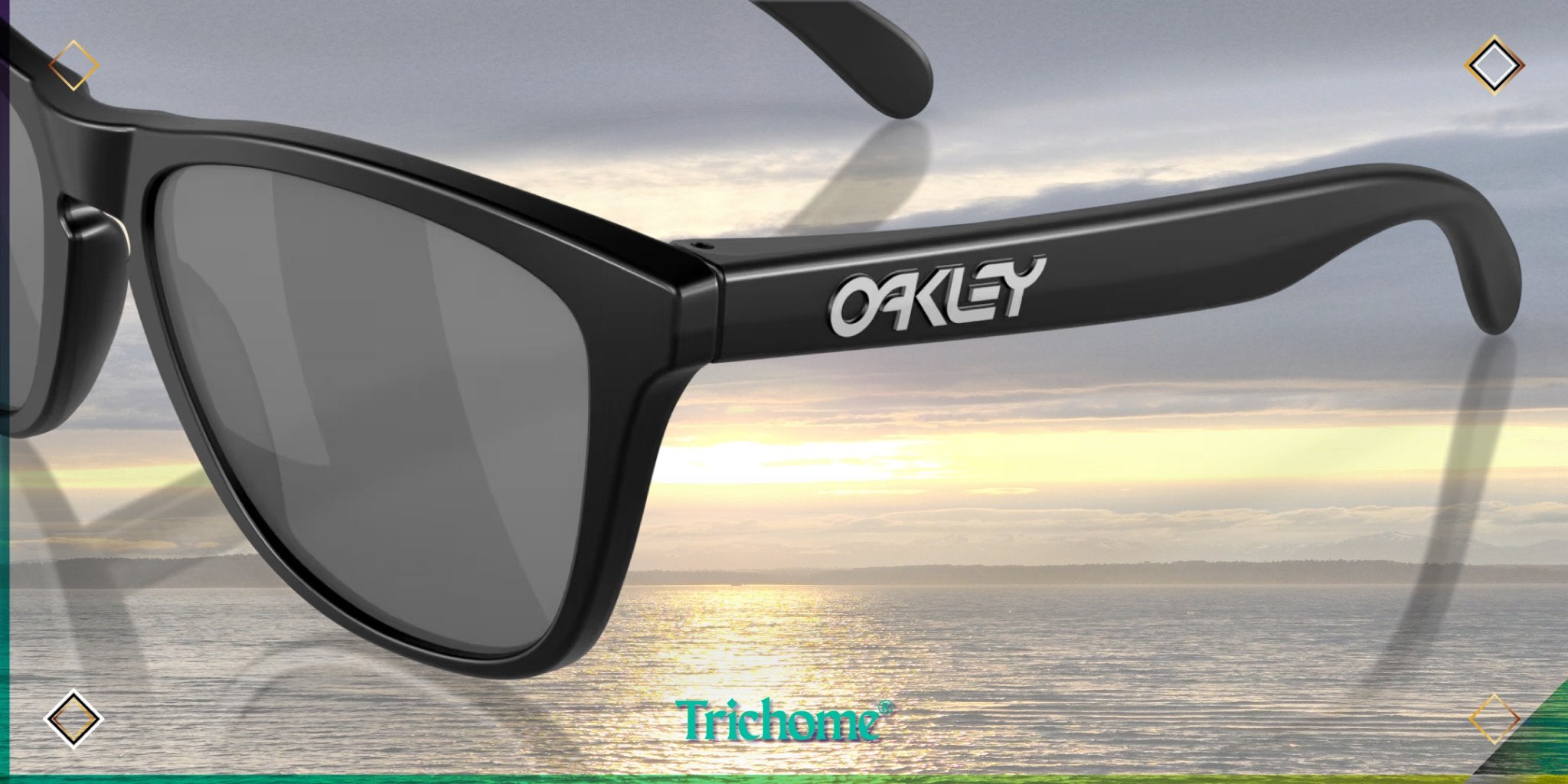 Frogskins™ Polarized (Low Bridge Fit) - Trichome Seattle - Oakley - Eyewear