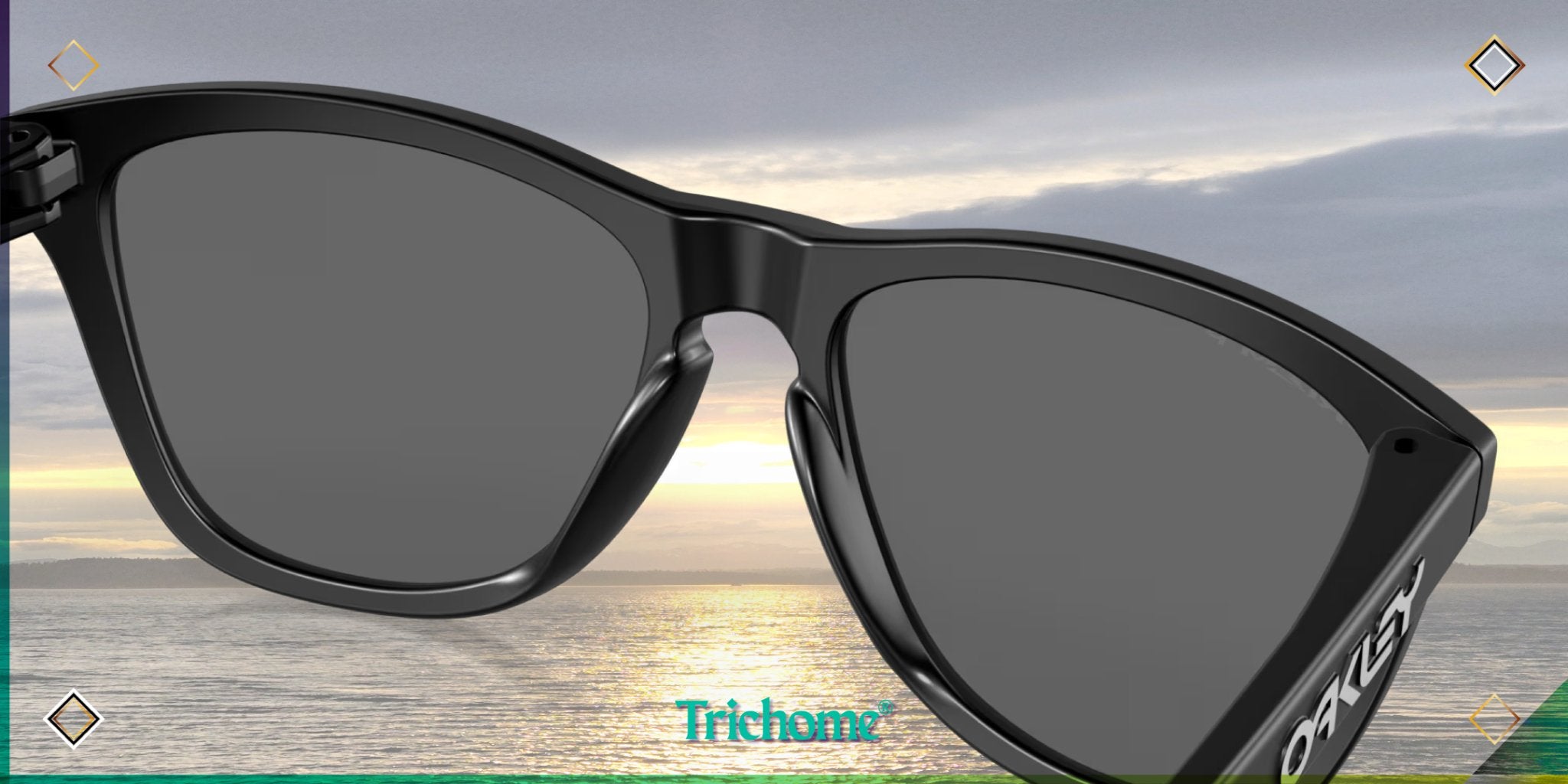 Frogskins™ Polarized (Low Bridge Fit) - Trichome Seattle - Oakley - Eyewear