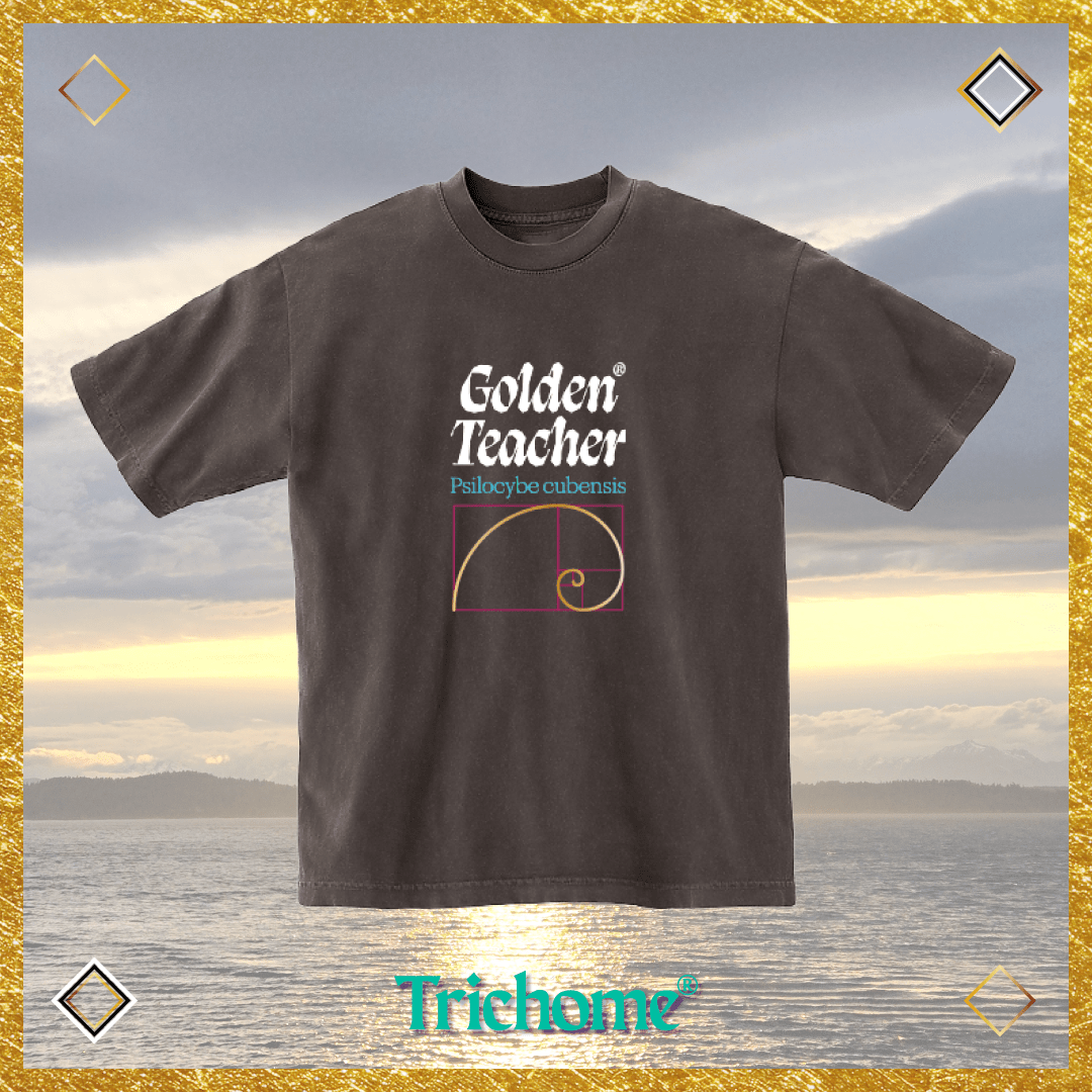 Golden Teacher Calligraphy Boxy SS Tee - Trichome Seattle - Golden Teacher - Clothing