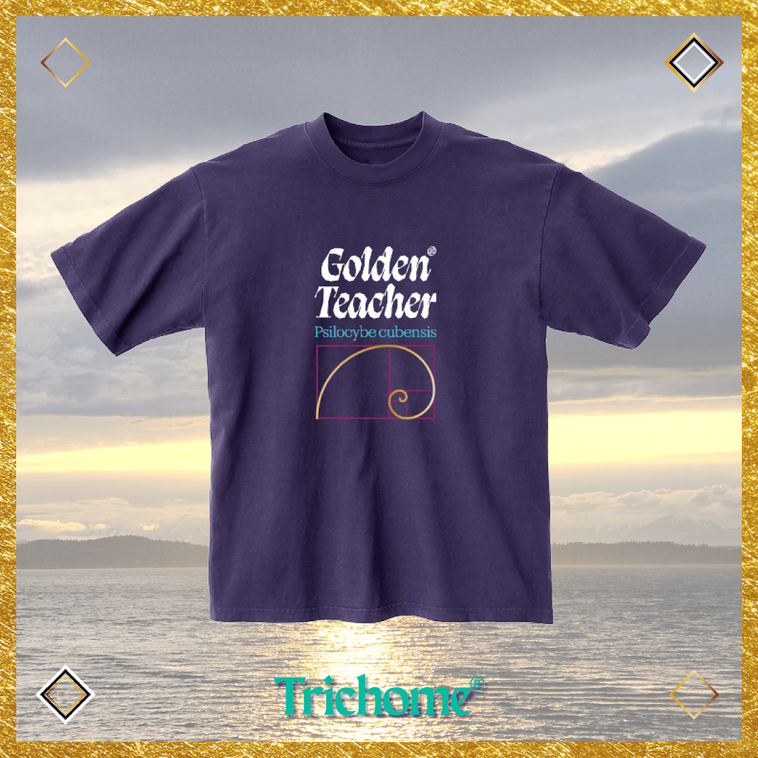 Golden Teacher Calligraphy Boxy SS Tee - Trichome Seattle - Golden Teacher - Clothing