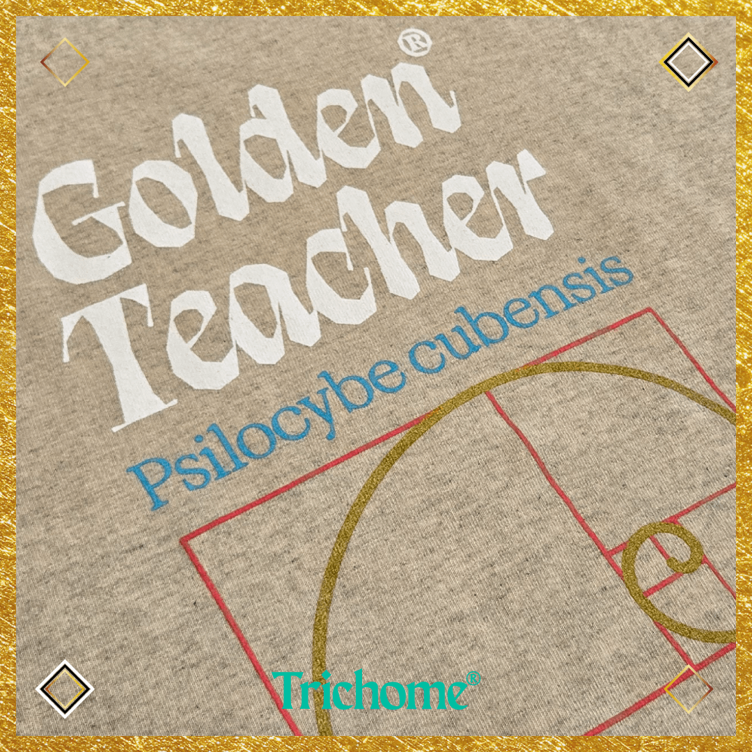 Golden Teacher Calligraphy Mock Neck Oversized SS Tee - Trichome Seattle - Golden Teacher - Clothing