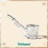 Highball Hand Pipe - Trichome Seattle - NWTN Home - Glass