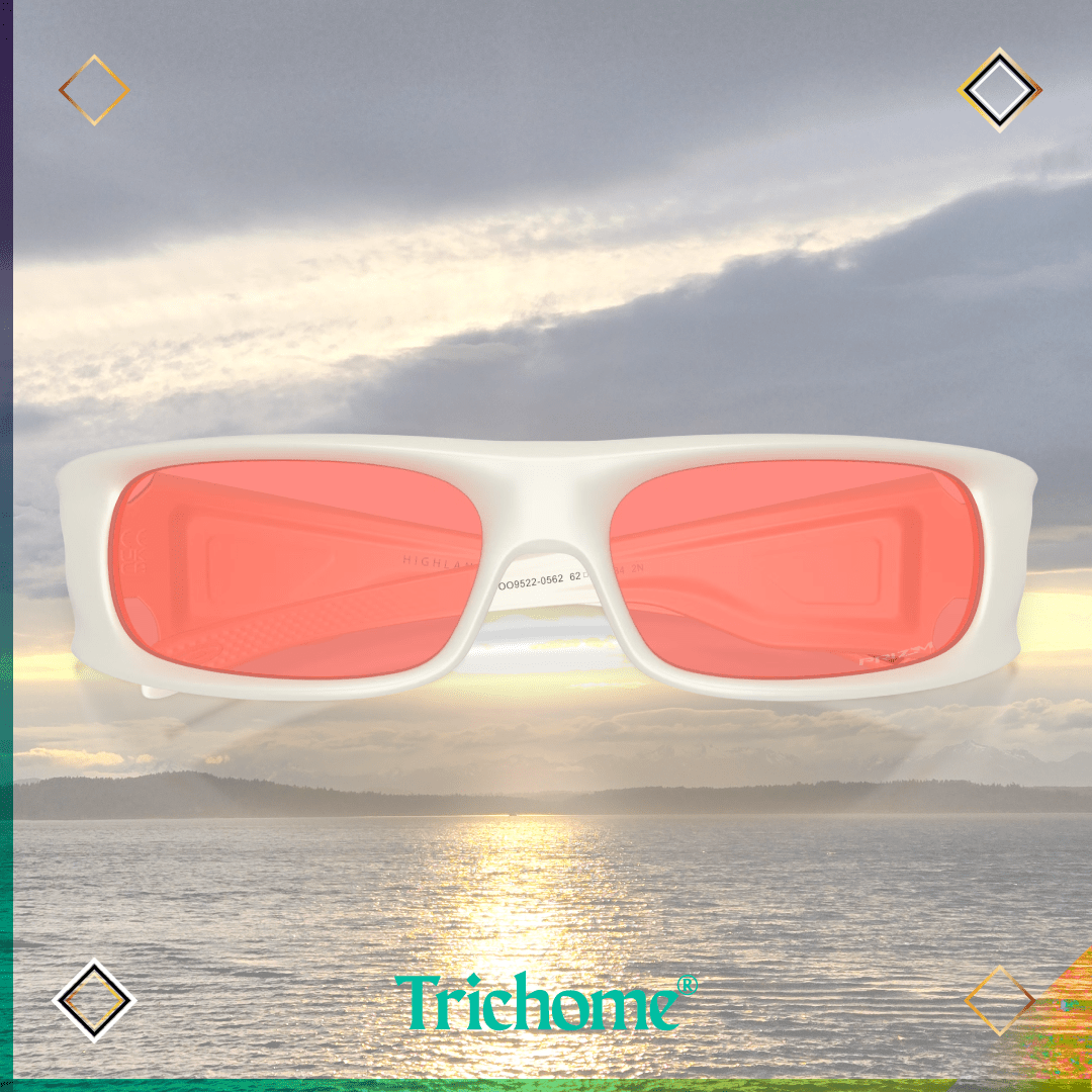 Highland - Trichome Seattle - Oakley - Eyewear
