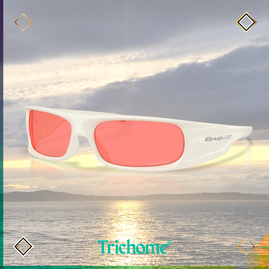 Highland - Trichome Seattle - Oakley - Eyewear