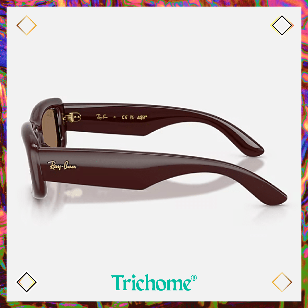 Kiliane Puffer - Trichome Seattle - Ray-Ban - Eyewear