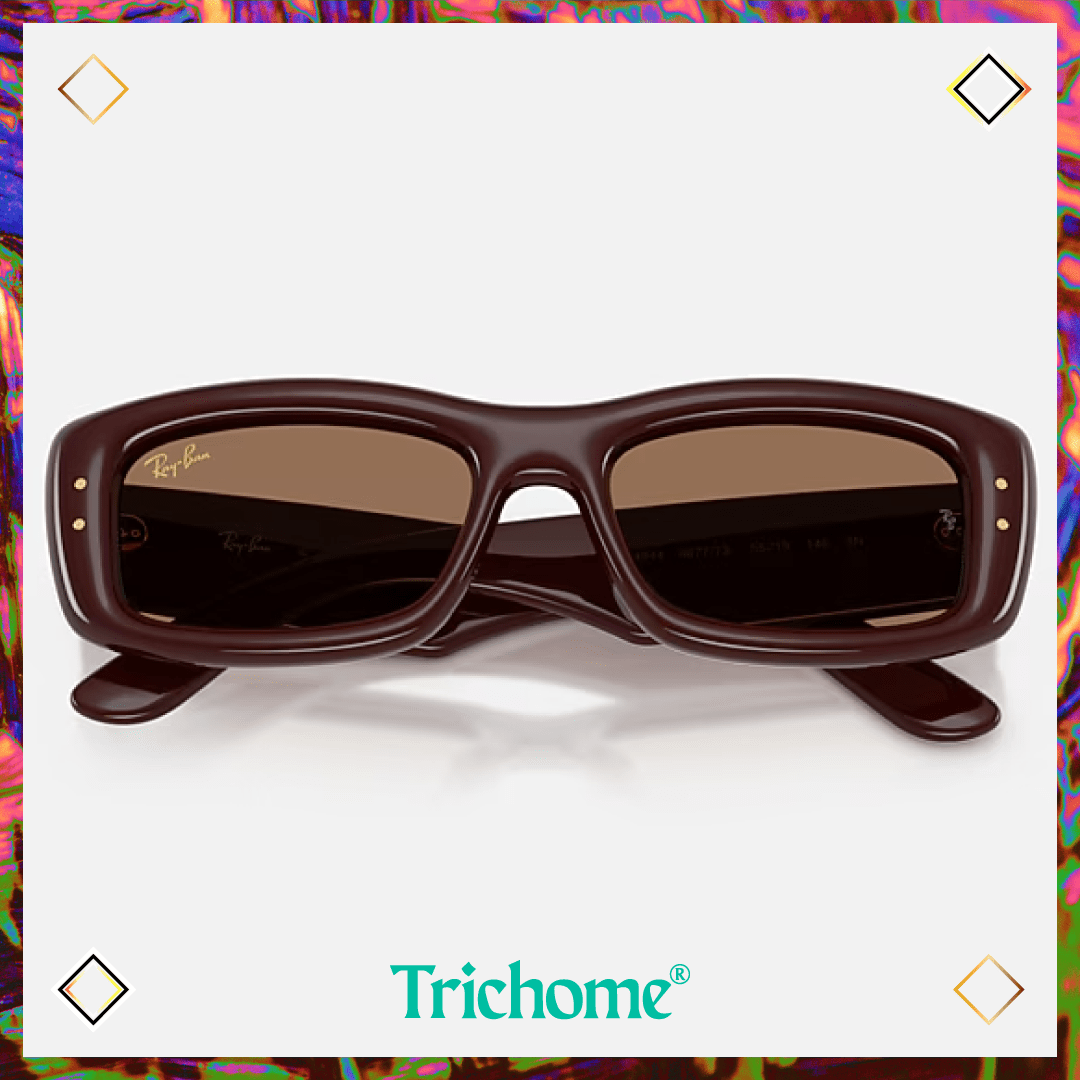 Kiliane Puffer - Trichome Seattle - Ray-Ban - Eyewear