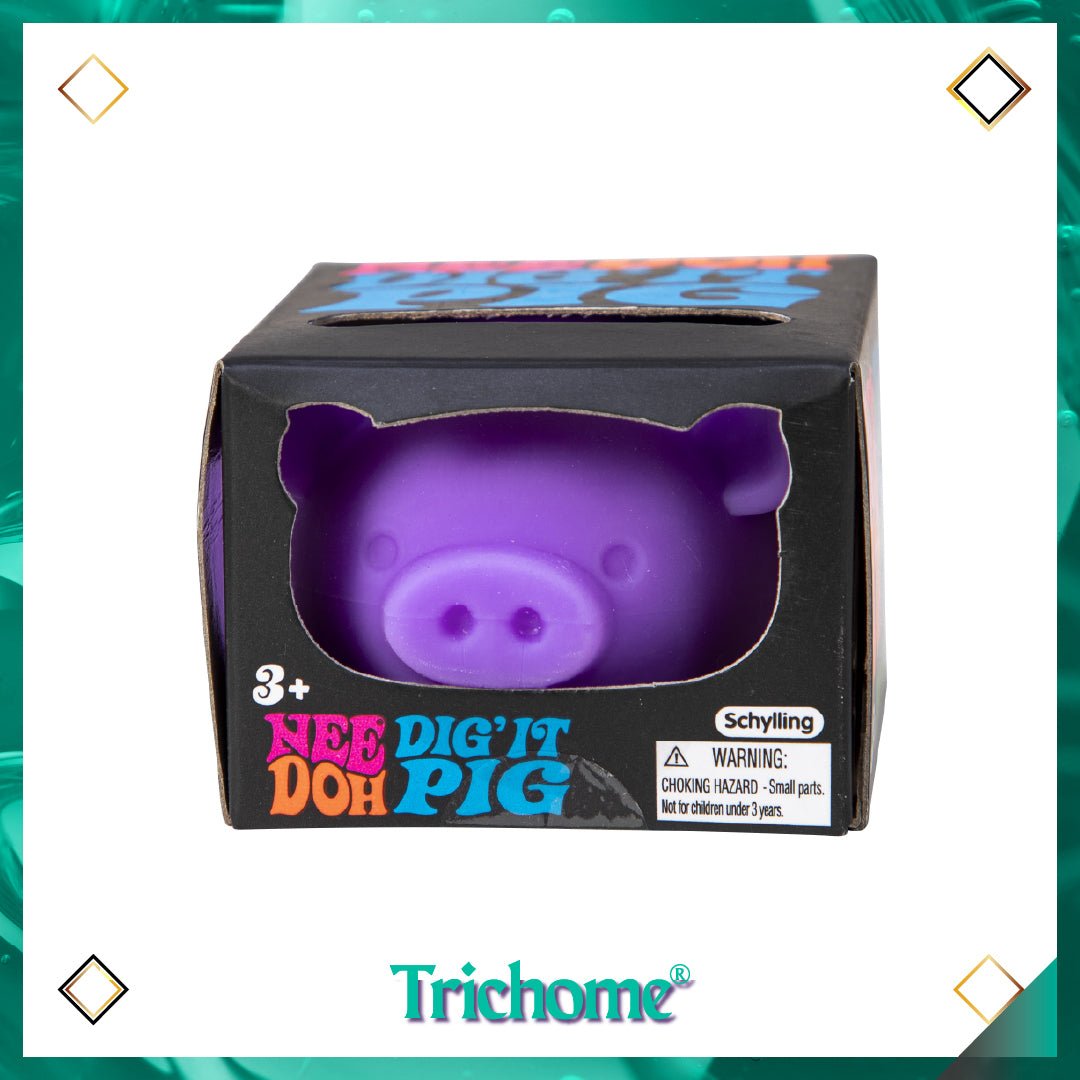 NeeDoh Dig' It Pig - Trichome Seattle - NeeDoh - Toys