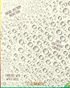 Original SPF 45 Sunscreen Face Mist - Trichome Seattle - Sun Bum - Skin Care