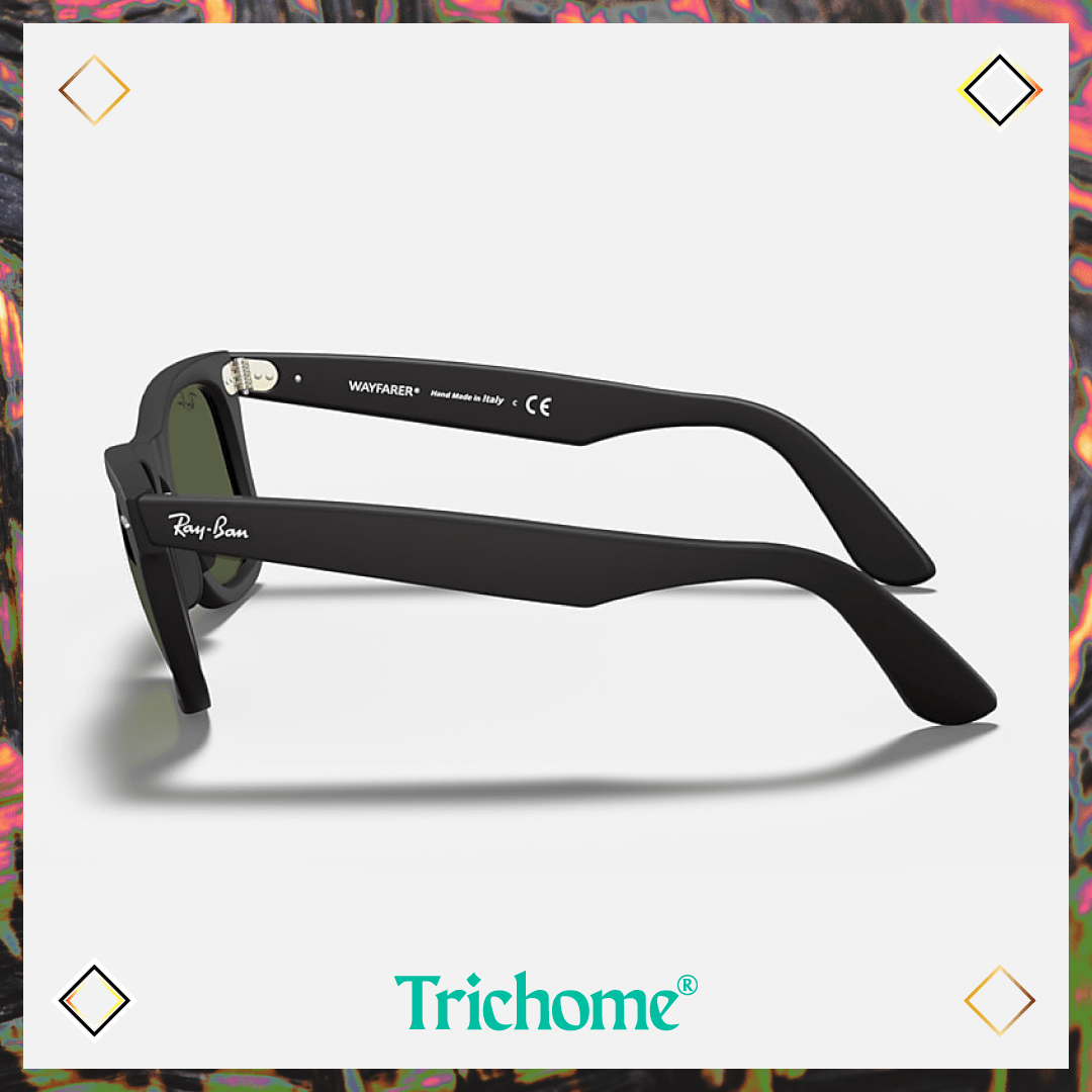 Original Wayfarer Classic Matte (Low Bridge Fit) - Trichome Seattle - Ray-Ban - Eyewear