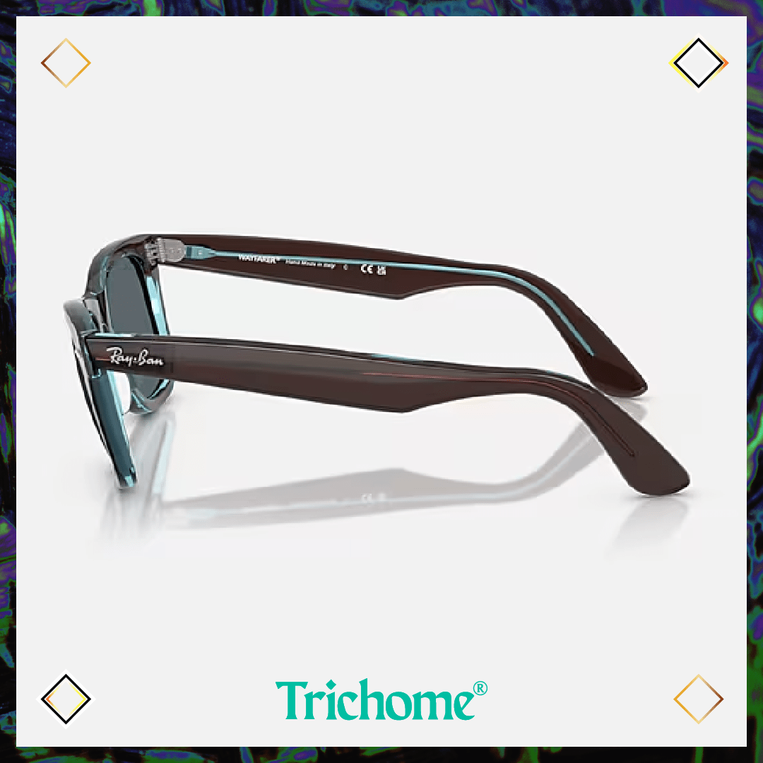 Original Wayfarer Classic - Trichome Seattle - Ray - Ban - Eyewear
