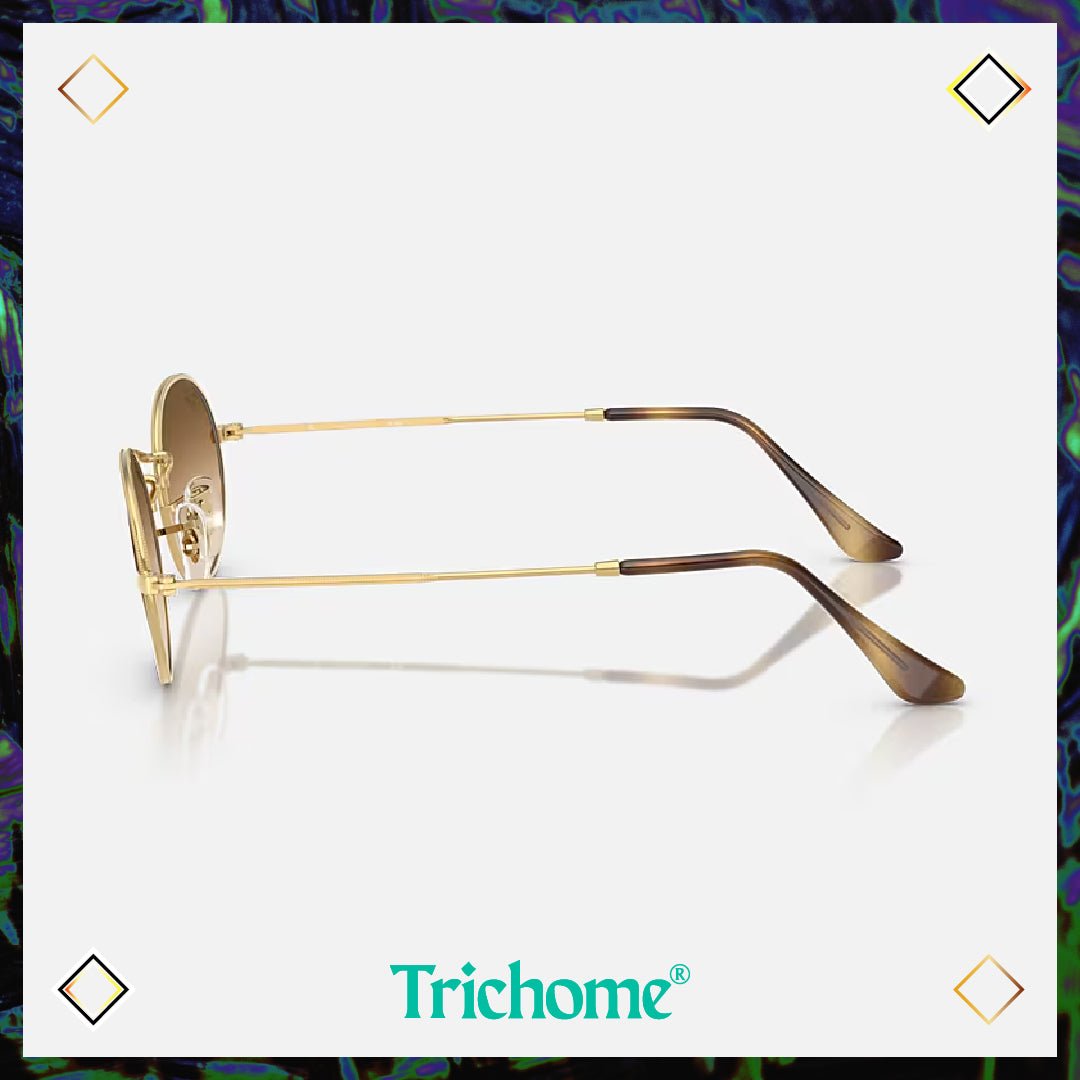 Oval - Trichome Seattle - Ray - Ban - Eyewear