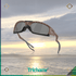 Plantaris SQ - Trichome Seattle - Oakley - Eyewear