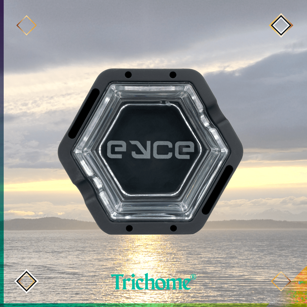 Proteck Ashtray - Trichome Seattle - Eyce - Glass