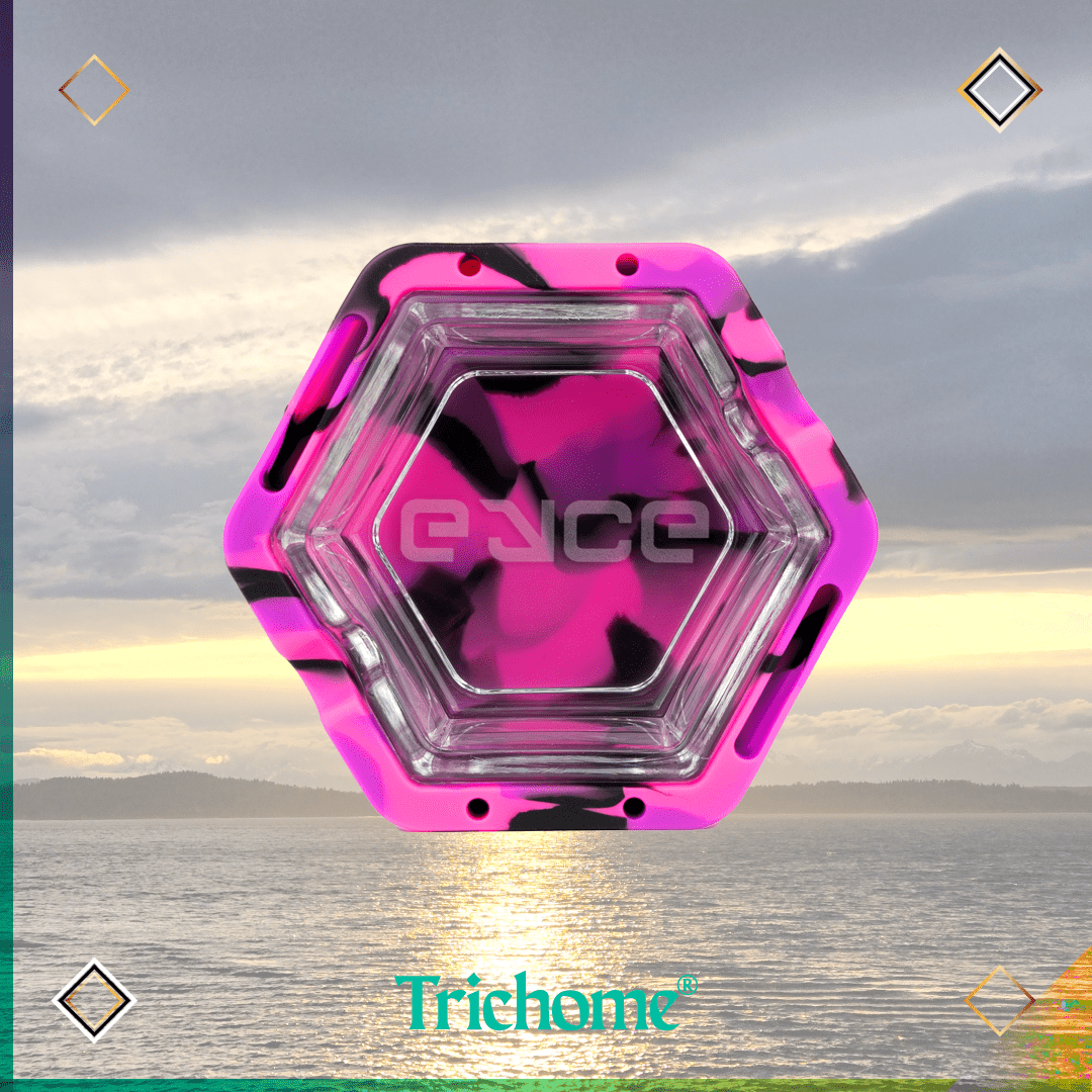 Proteck Ashtray - Trichome Seattle - Eyce - Glass