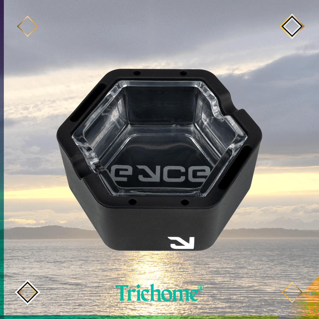 Proteck Ashtray - Trichome Seattle - Eyce - Glass