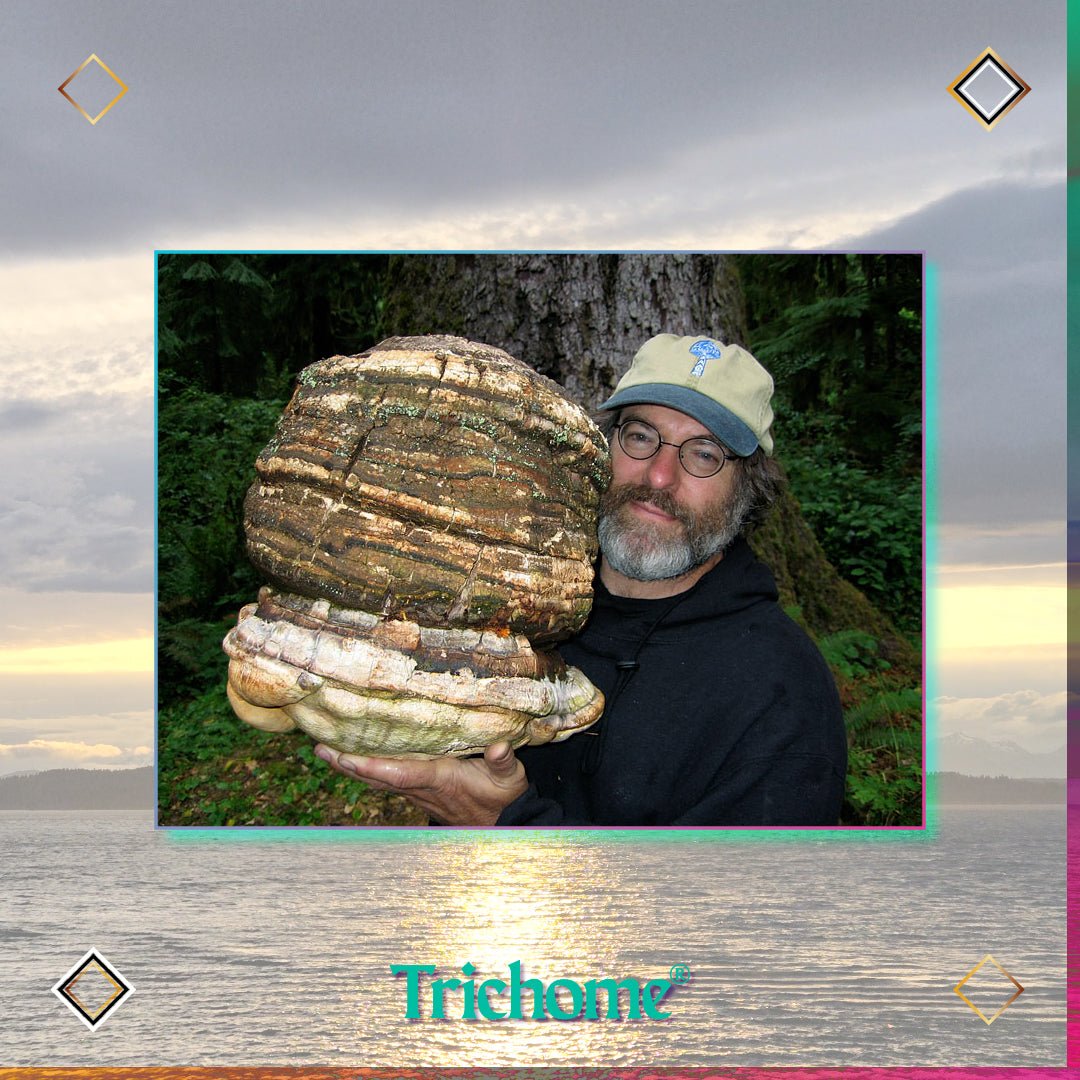 Psilocybin Mushrooms of the World - Trichome Seattle - Paul Stamets - Books