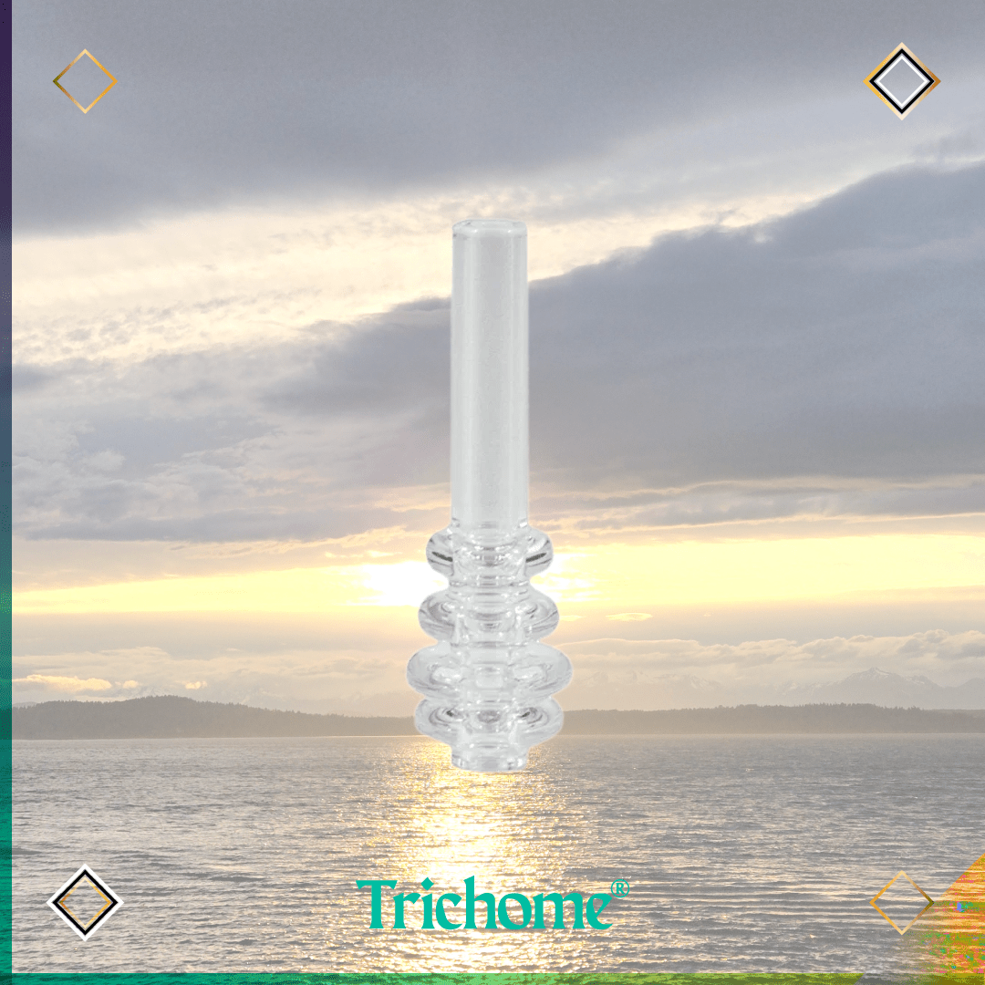 Quartz Straw / Nozzle - Trichome Seattle - Eyce - Glass