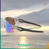 Radar® EV Path® - Trichome Seattle - Oakley - Eyewear