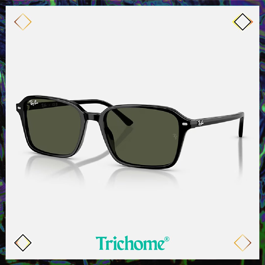 Raimond - Trichome Seattle - Ray - Ban - Eyewear