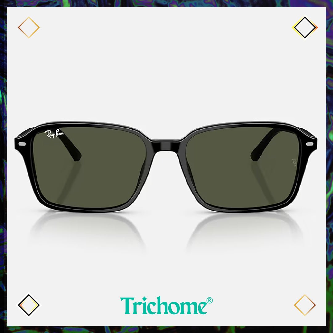 Raimond - Trichome Seattle - Ray - Ban - Eyewear