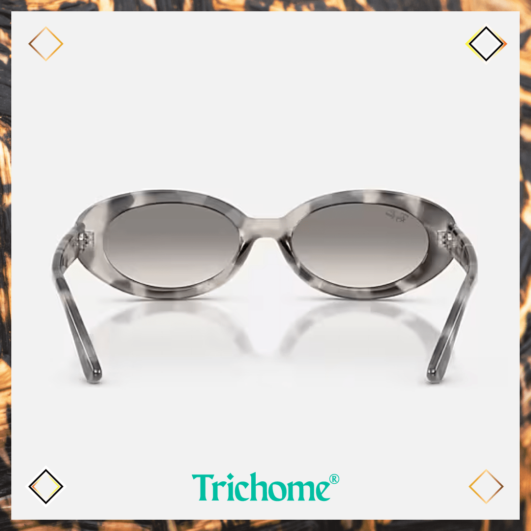 RB2223 - Trichome Seattle - Ray-Ban - Eyewear
