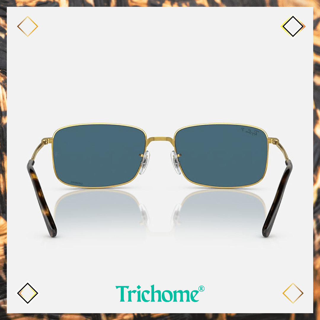 RB3717 The Rikardo - Trichome Seattle - Ray-Ban - Eyewear