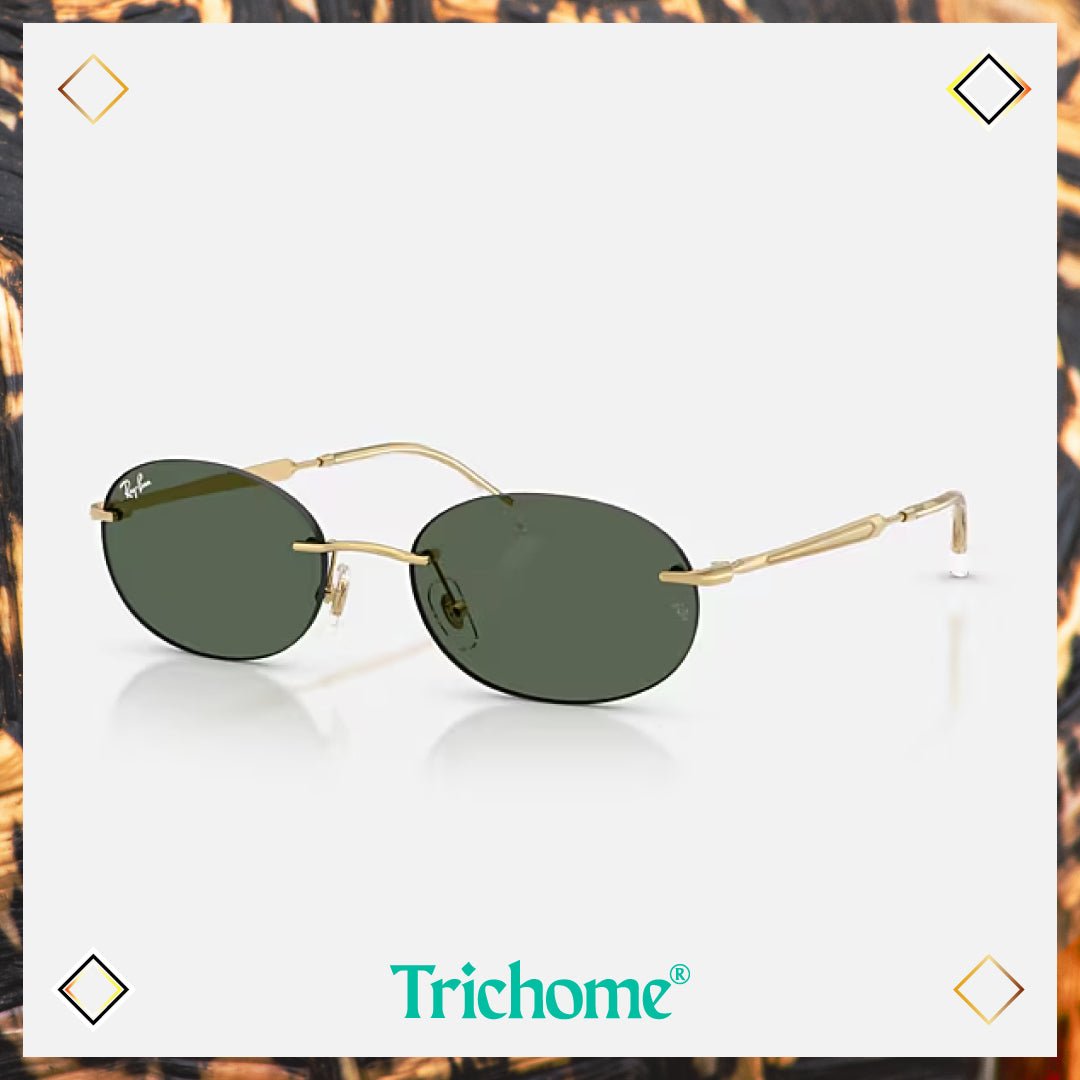 RB3767 The Artist - Trichome Seattle - Ray - Ban - Eyewear