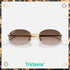 RB3767 The Artist - Trichome Seattle - Ray - Ban - Eyewear