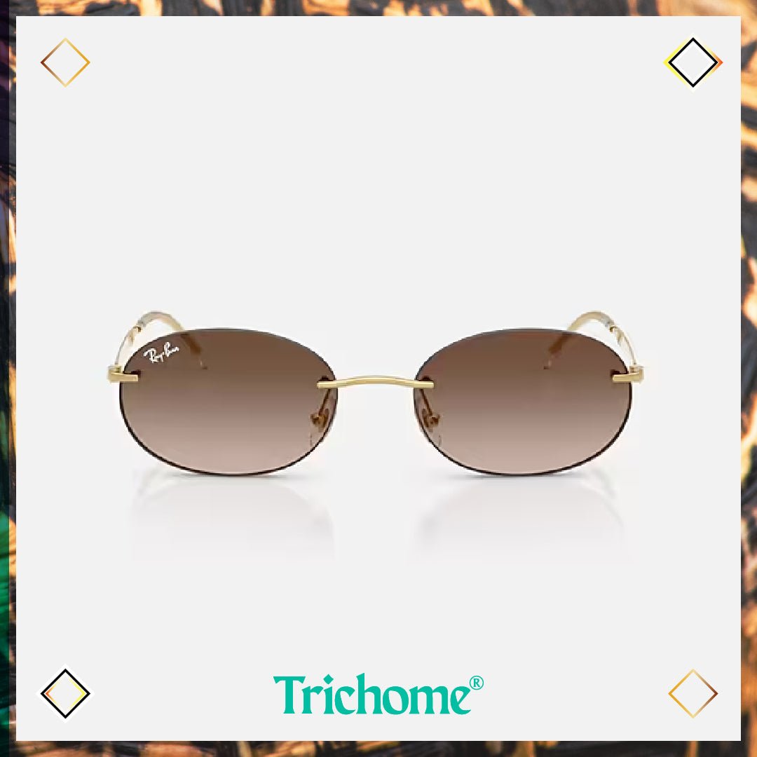 RB3767 The Artist - Trichome Seattle - Ray - Ban - Eyewear