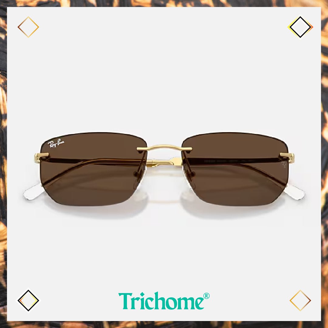 RB3768 The Captain - Trichome Seattle - Ray - Ban - Eyewear