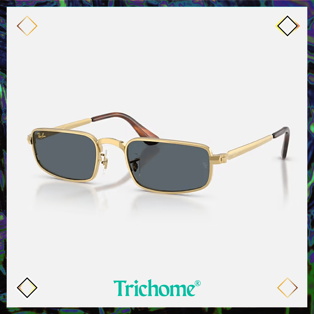 RB3927 by A$AP ROCKY - Trichome Seattle - Ray-Ban - Eyewear