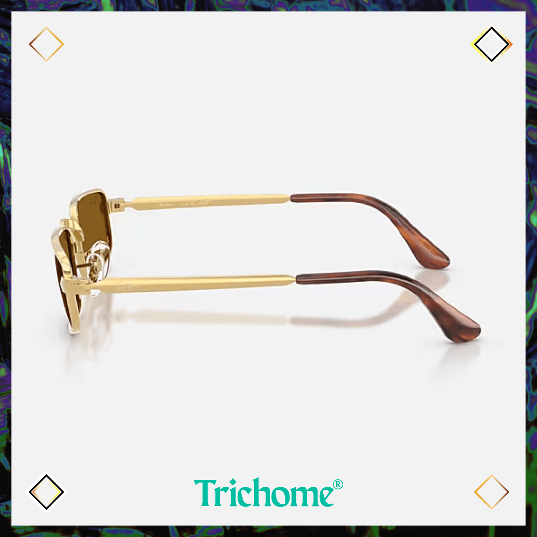 RB3927 by A$AP ROCKY - Trichome Seattle - Ray-Ban - Eyewear