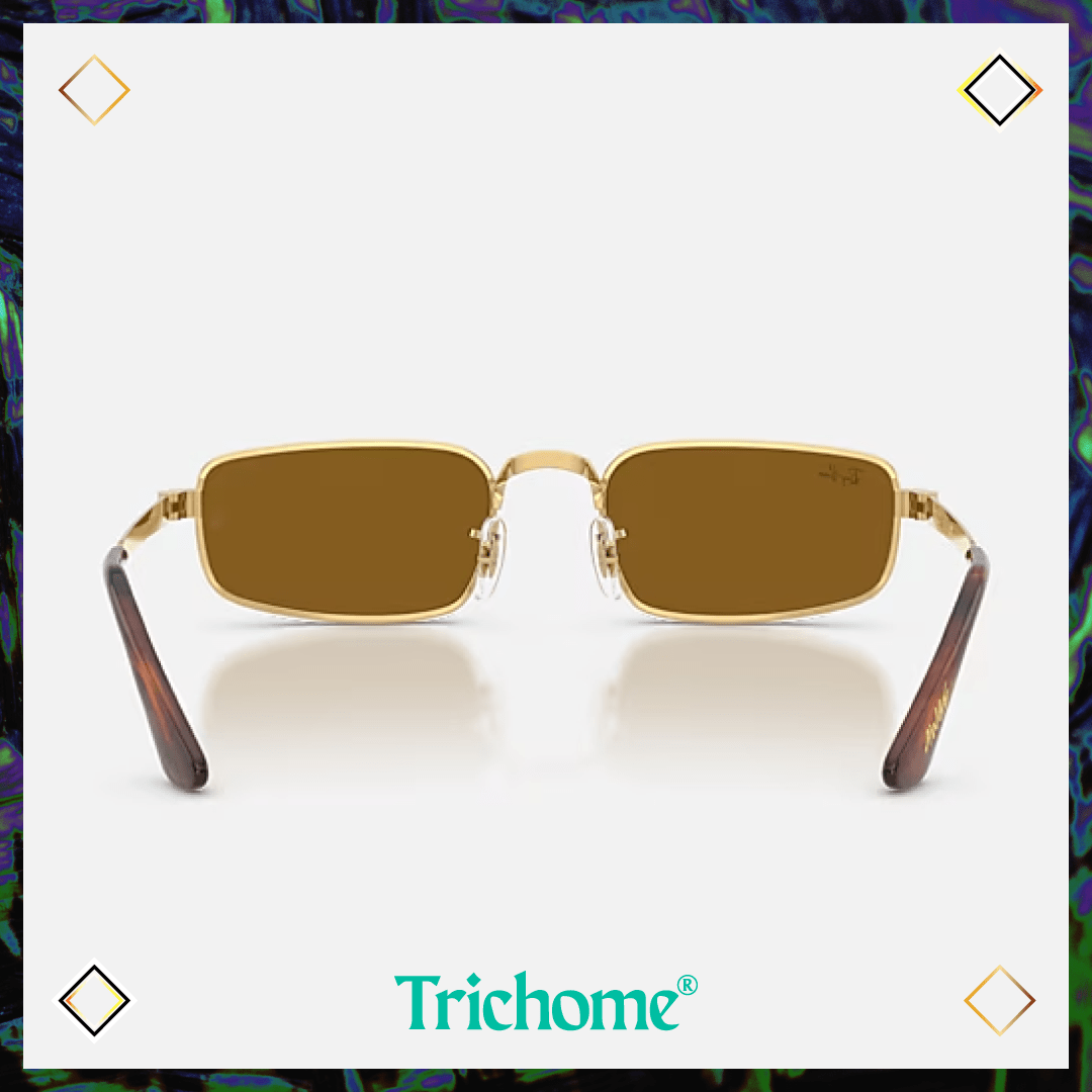 RB3927 by A$AP ROCKY - Trichome Seattle - Ray-Ban - Eyewear
