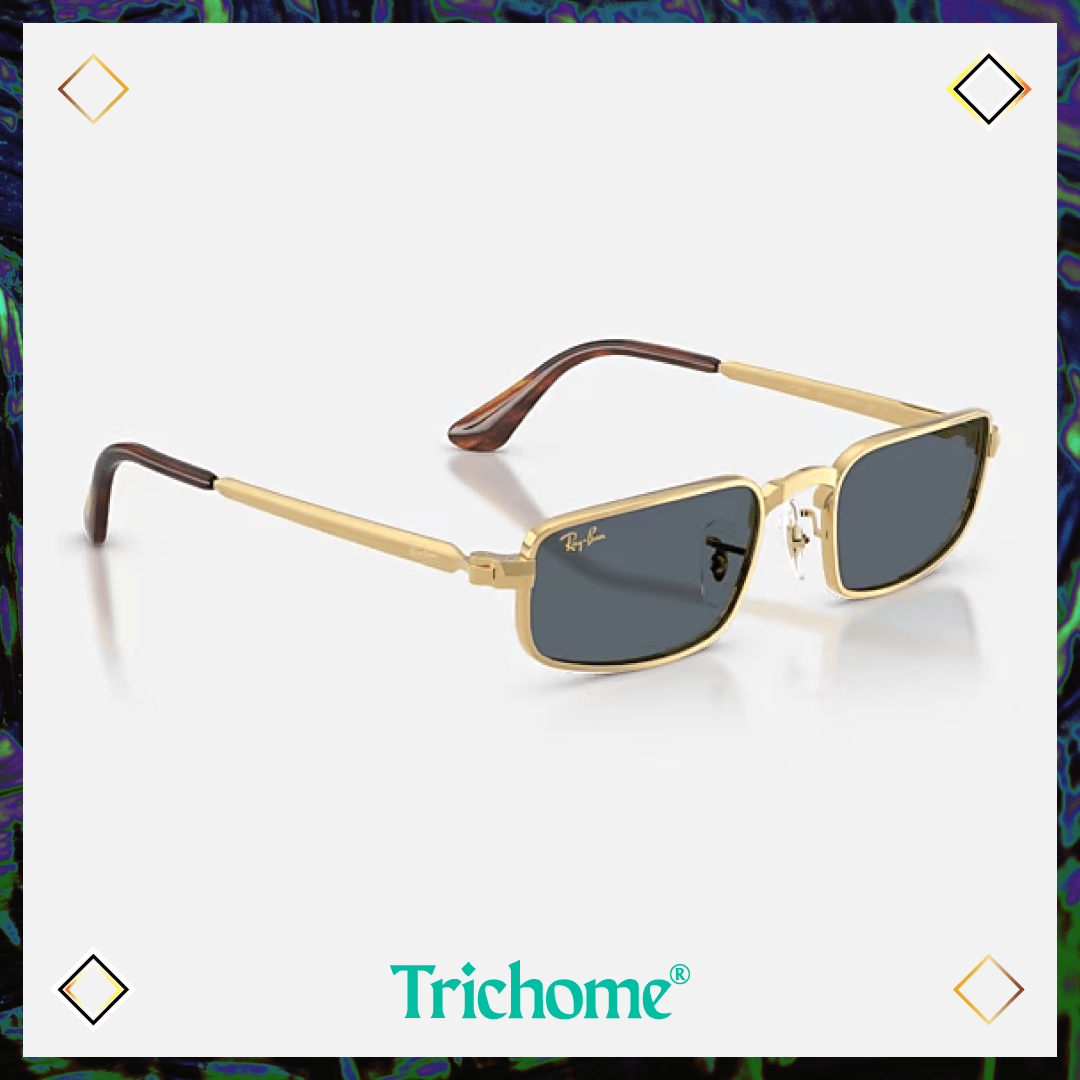 RB3927 by A$AP ROCKY - Trichome Seattle - Ray-Ban - Eyewear