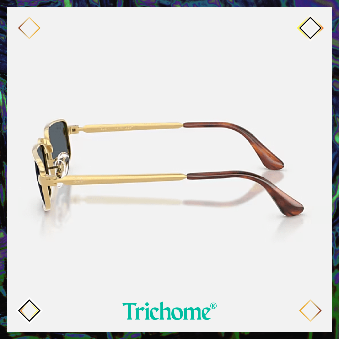 RB3927 by A$AP ROCKY - Trichome Seattle - Ray-Ban - Eyewear