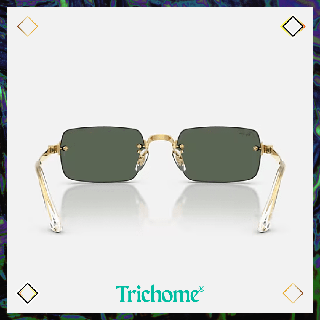 RB3928 by A$AP ROCKY - Trichome Seattle - Ray-Ban - Eyewear