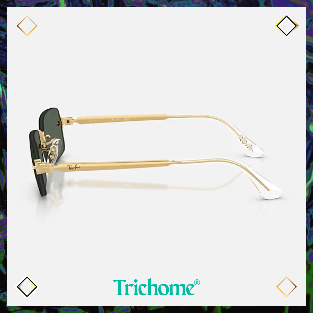 RB3928 by A$AP ROCKY - Trichome Seattle - Ray-Ban - Eyewear