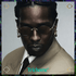 RB3929 by A$AP ROCKY - Trichome Seattle - Ray-Ban - Eyewear