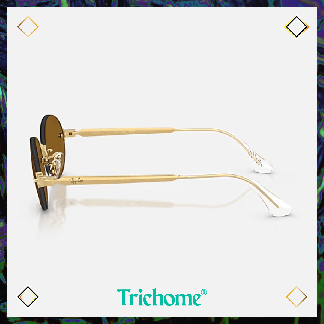 RB3929 by A$AP ROCKY - Trichome Seattle - Ray-Ban - Eyewear