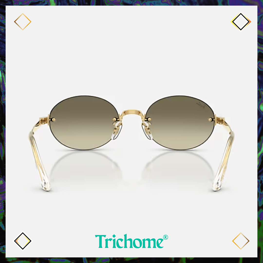 RB3929 by A$AP ROCKY - Trichome Seattle - Ray-Ban - Eyewear
