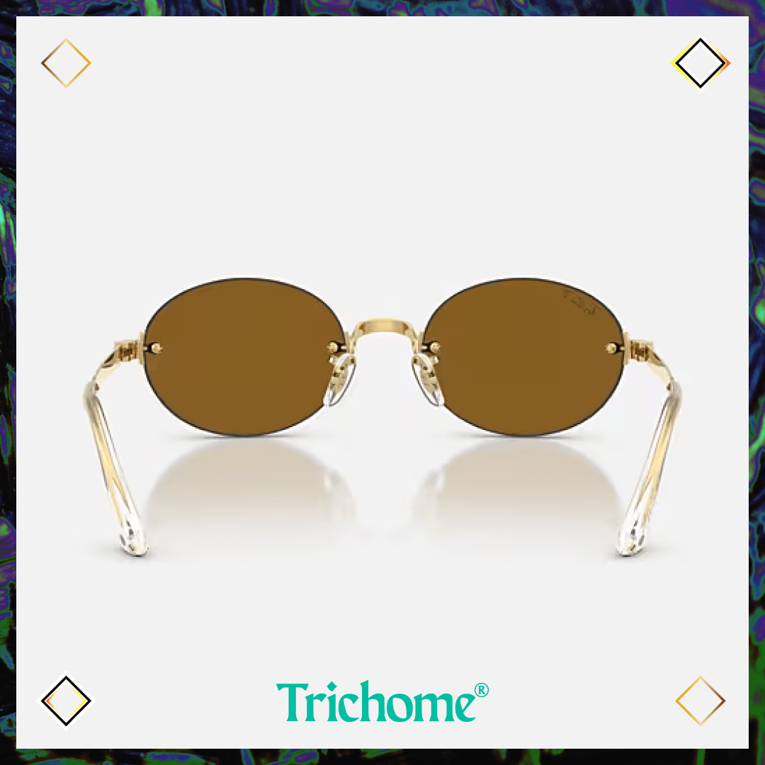 RB3929 by A$AP ROCKY - Trichome Seattle - Ray-Ban - Eyewear