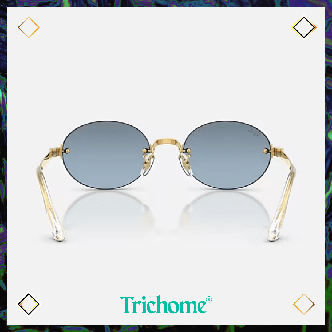 RB3929 by A$AP ROCKY - Trichome Seattle - Ray-Ban - Eyewear