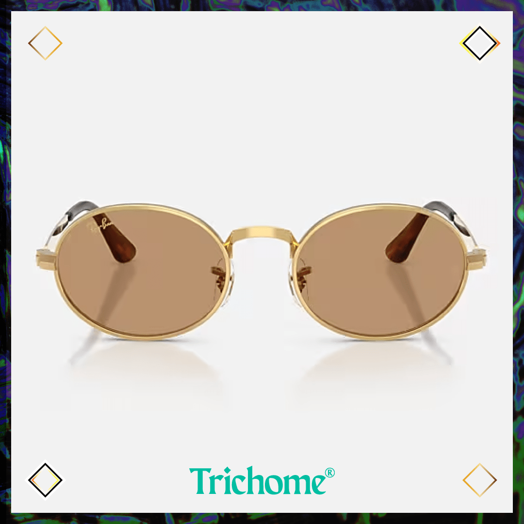 RB3931 by A$AP ROCKY - Trichome Seattle - Ray-Ban - Eyewear