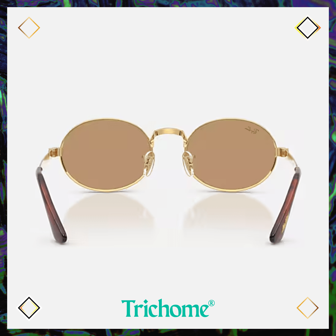 RB3931 by A$AP ROCKY - Trichome Seattle - Ray-Ban - Eyewear