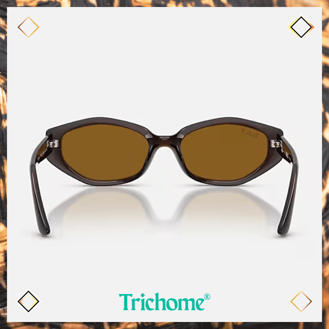 RB4473D The Ovoid - Trichome Seattle - Ray-Ban - Eyewear
