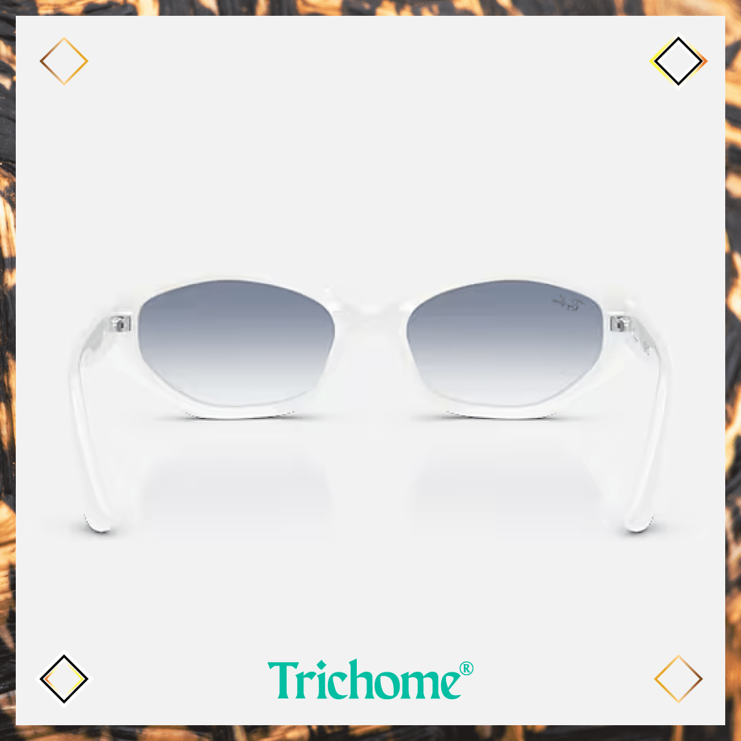 RB4473D The Ovoid - Trichome Seattle - Ray - Ban - Eyewear